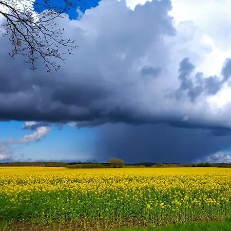 Inselromantik Ruegen, Dz Moonlight Und App Country Διαμέρισμα *