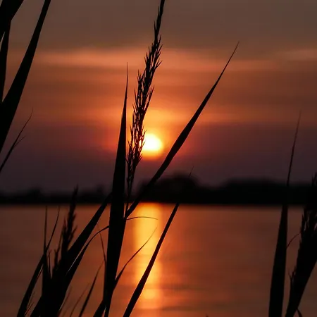 Inselromantik Ruegen, Dz Moonlight Und App Country *